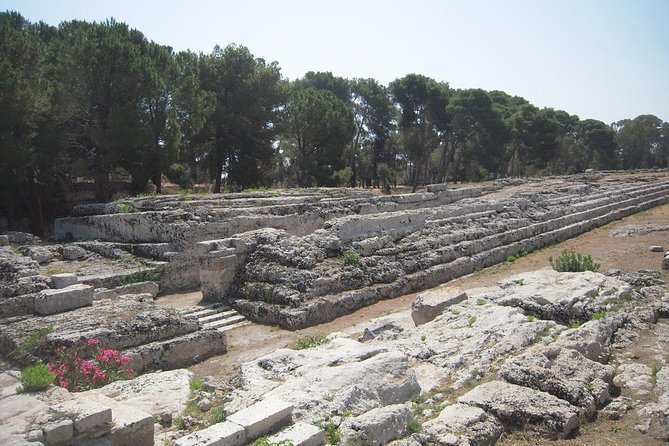 Syracuse's Archaeological Park Private Walking Tour - How much the $180.62 price buys you