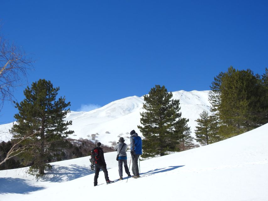 Taormina and Catania: Private Etna Exploration and Cave Tour - Walking to a lateral crater