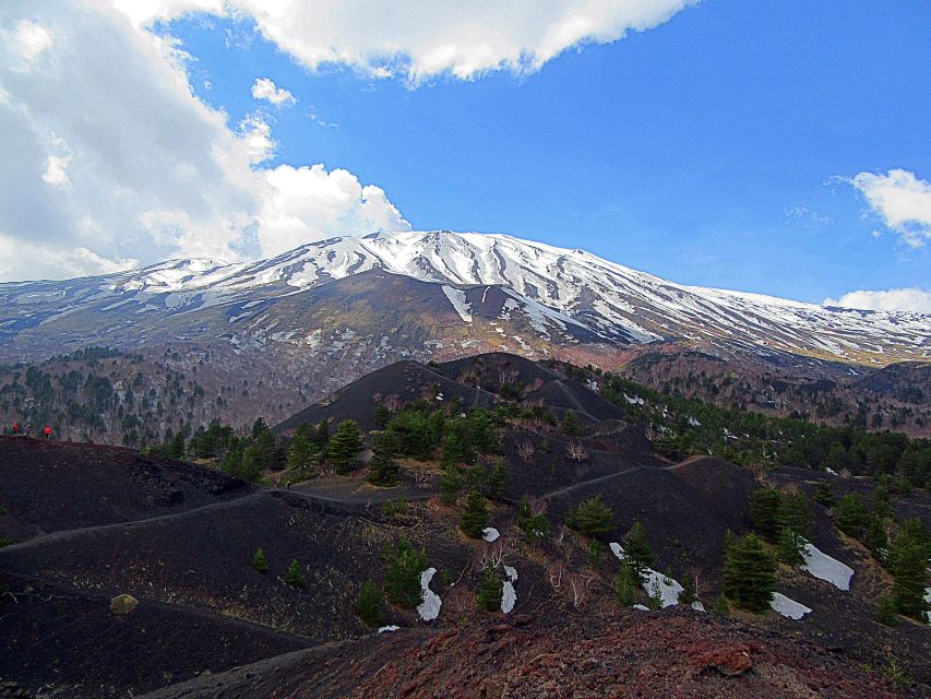 Taormina and Catania: Private Etna Exploration and Cave Tour - Who will get the most from this outing