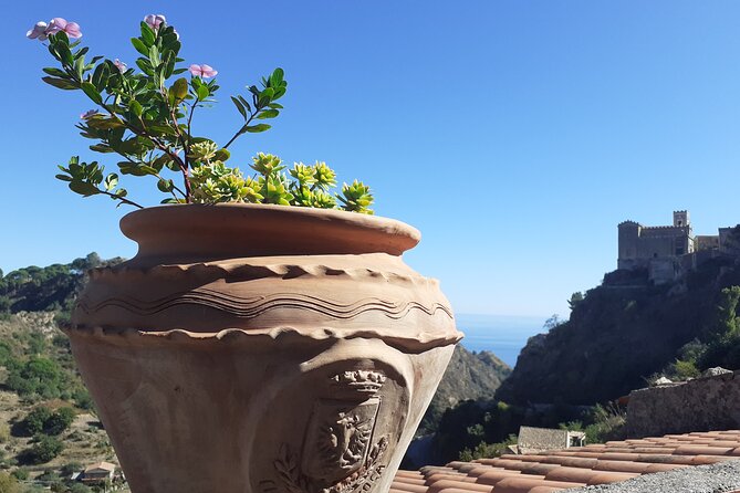 Taormina and Savoca From Messina Port Private Tour - What the strongest service feedback tells you