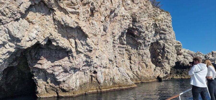 Taormina Coast Tour and Searching Dolphins - Key points to know before you book