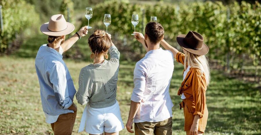Taormina: Guided Etna Wine Tasting Half-Day Tour - Key points at a glance