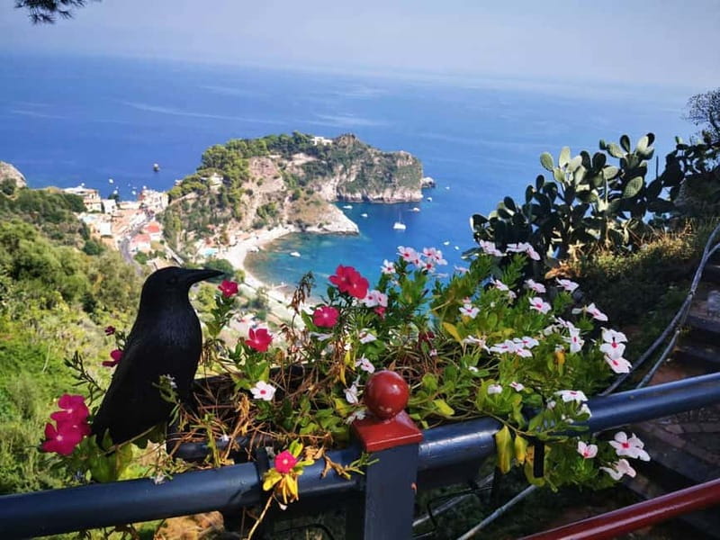 Taormina: Guided Walking Tour - What the guides add to the experience
