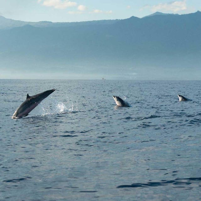 Taormina: Private Boat Tour with aperitif - A boat with more than an open deck