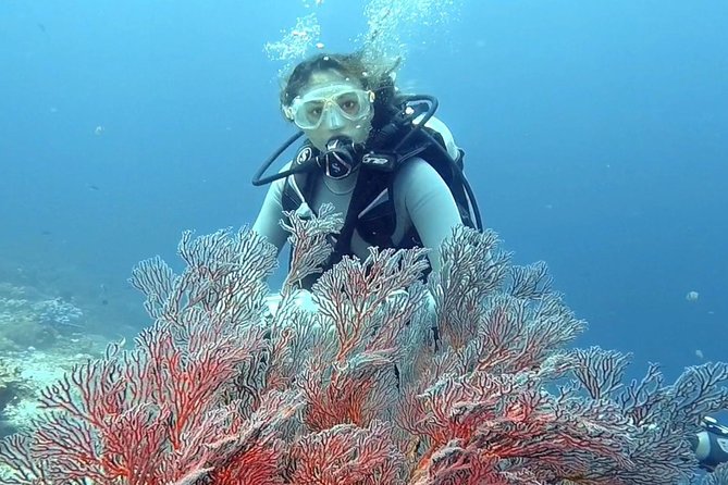 Taormina Scuba Diving Experience - The value of a three-hour private class