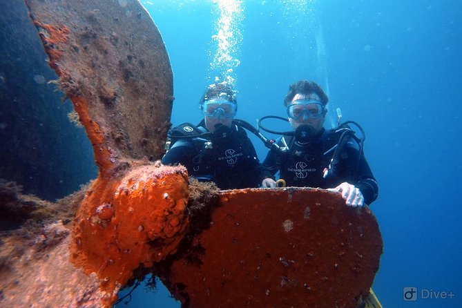 Taormina Scuba Diving Experience - Who will enjoy this most