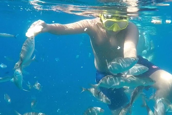 Taormina snorkeling experience - The early start and meeting point