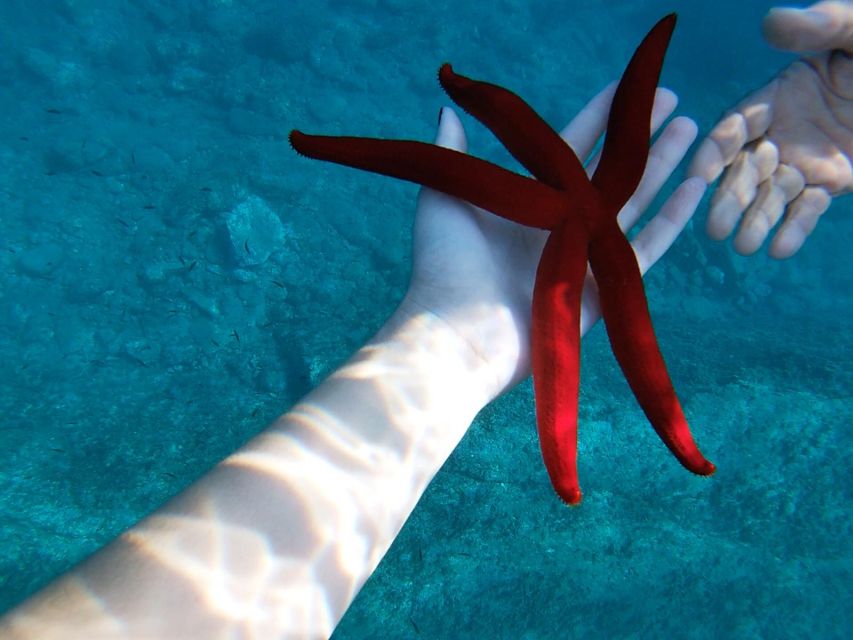 Taormina: White Lotus Tour - Swimming and snorkeling near Isola Bella