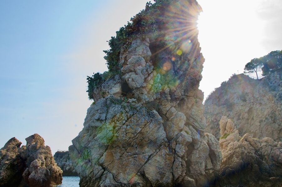 Taormina: White Lotus Tour - Dolphins and the best time to go