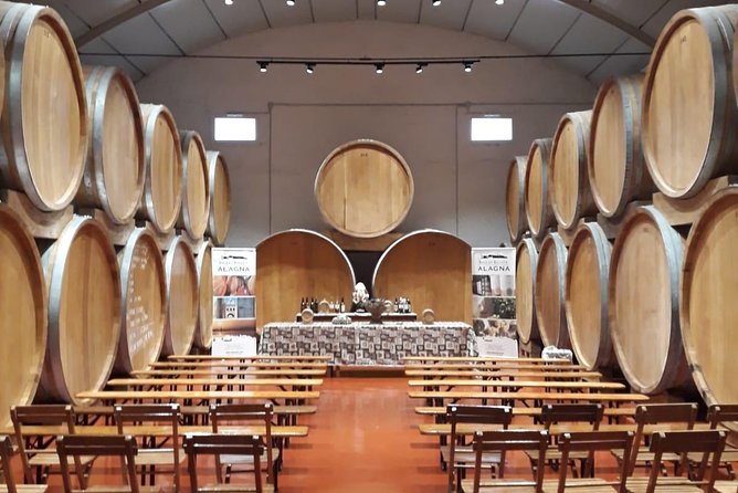 Tasting in the historic cellar of Marsala - Inside the historic barrel cellar