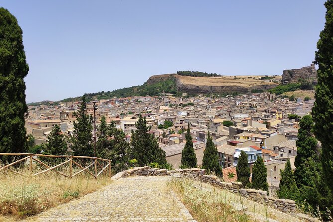 The Godfather Origins of Mafia: Corleone & Visit Monreale Duomo - The private vehicle and guide make the difference