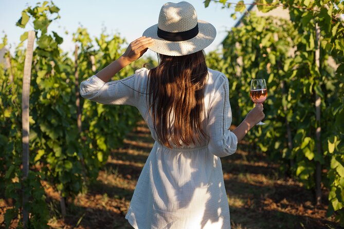Tour Etna & Wine Tasting - Why This Etna Day Trip Works So Well