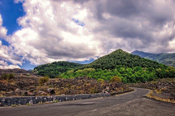 Tour Etna & Wine Tasting - Is the $175.43 Price Good Value?