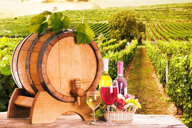 Tour Etna & Wine Tasting Private - What the $693.86 Price Really Buys