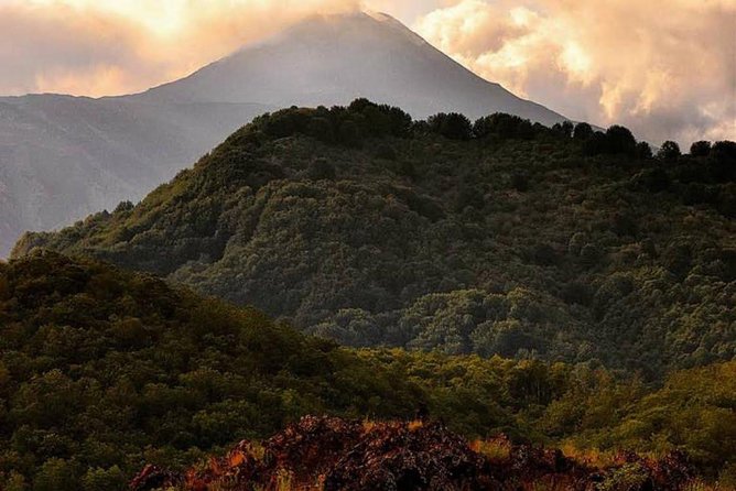 Tour Etna & Wine Tasting Private - Who Will Enjoy This Etna Day Most?