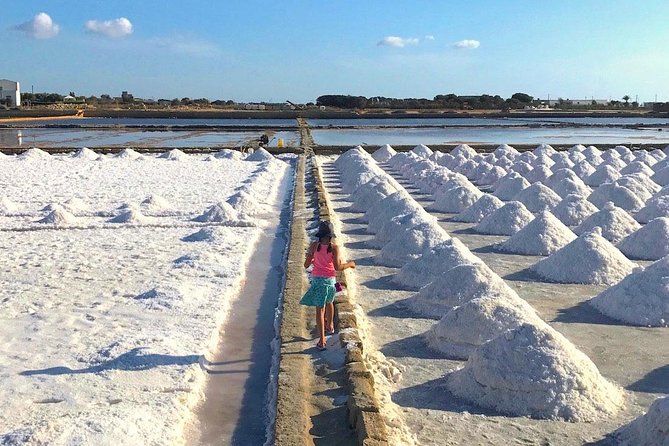 Tour from Palermo to Segesta, Erice, Trapani salt pans - A private Mercedes or van changes the day