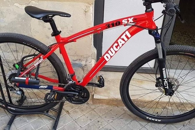 Tour in bike history Island Ortigia and archeological park Neapolis - Who should book this ride