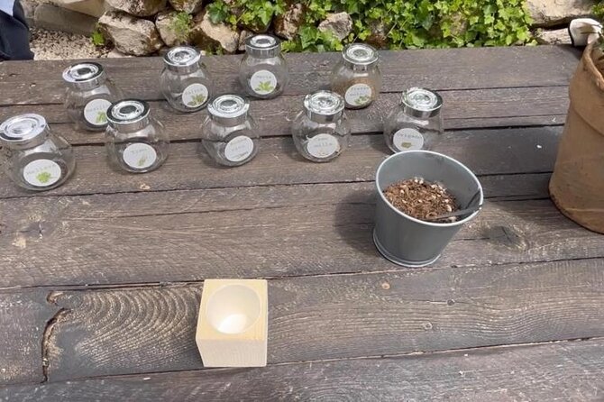 Tour in the heady scents of our garden in Ragusa - Key points for your Ragusa garden visit