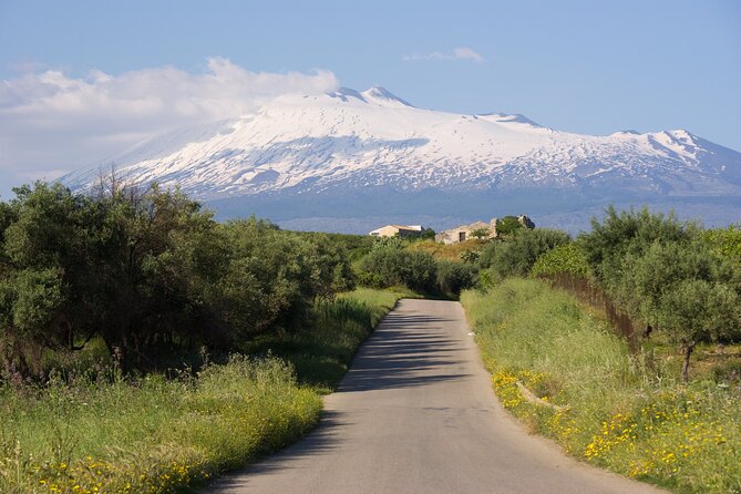 Tour of the Etna cellars, typical lunch and wine tasting - A full Sicilian day from Taormina