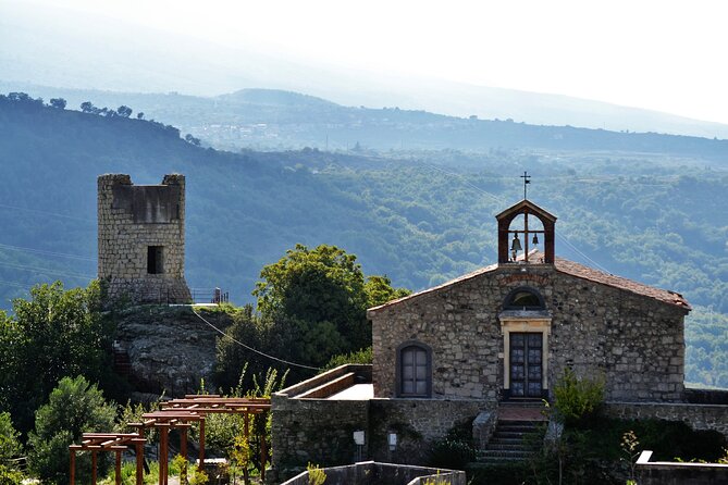 Tour of the Etna cellars, typical lunch and wine tasting - Castiglione di Sicilia for views, cannoli, and granita