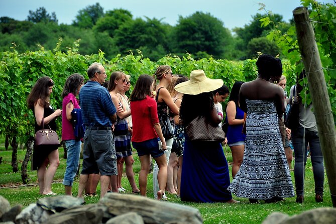 Tour of the Etna cellars, typical lunch and wine tasting - What the wine tasting is really worth
