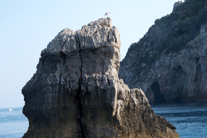 Tour to Baia di Taormina, Isola Bella and Naxos - Enzo, Tindaro, and the character of the trip