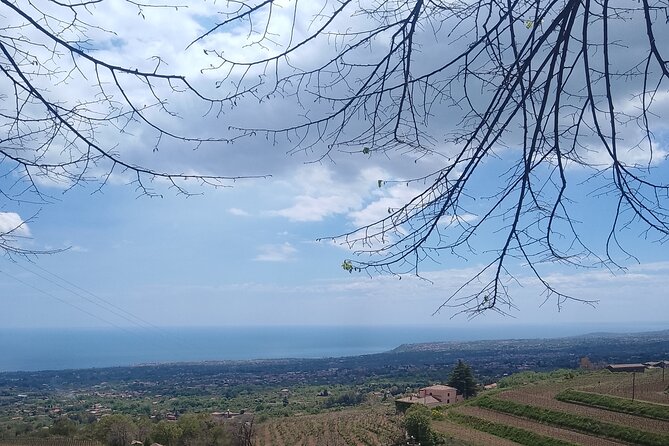 Tour two wineries of Etna wine tasting and lunch - Who will enjoy this Etna tour most?