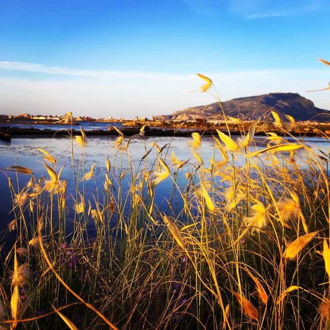 Trapani: 2-Hour Salt Flats Tour - The old mill salt museum