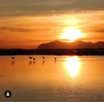 Salt Pans Sunset Tour and Flamingo Way