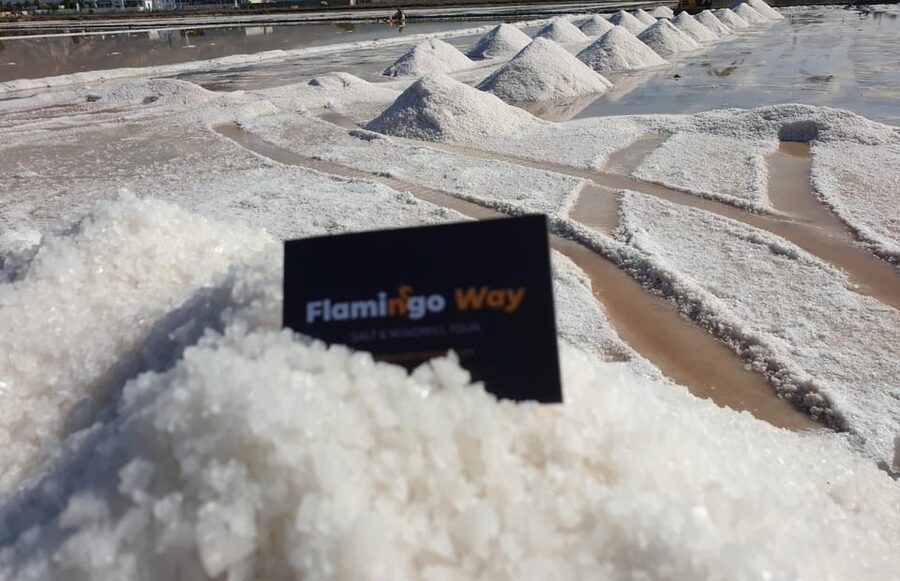 Trapani: Salt Pans Sunset Tour and Flamingo Way - What $34 buys you