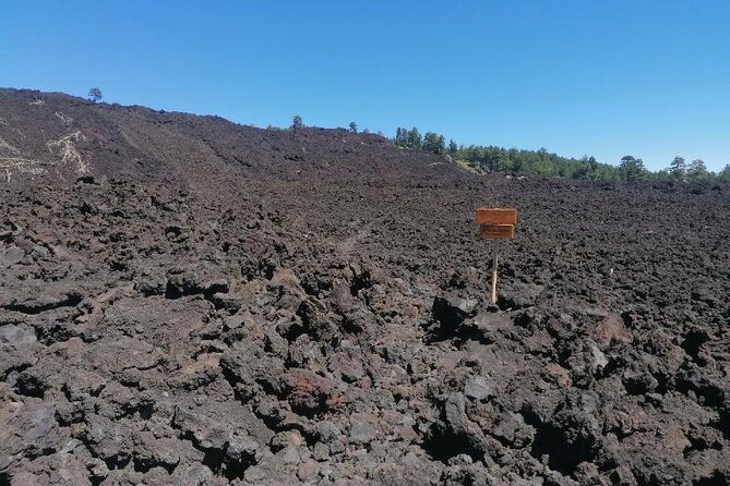 Trekking to Bottoniera Craters - Historic lava flows and Etna’s plant life