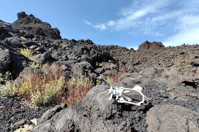 Trekking to Bottoniera Craters - A private tour for families and small groups