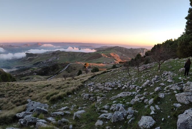 Truffle hunting in the Sicani mountains: a unique experience in Sicily - Timing, booking, and cancellation details