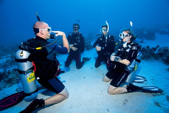Try Scuba Dive (baptism of the sea) - Why the protected area changes the experience