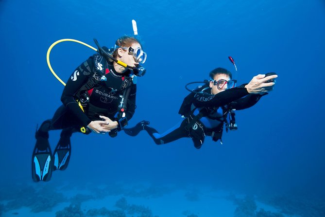 Try Scuba Dive (baptism of the sea) - Is $104.11 good value?