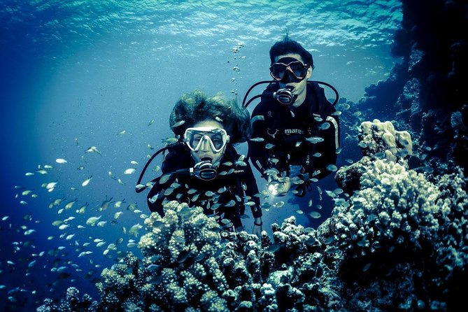Try Scuba Dive (baptism of the sea) - Who should book this activity?