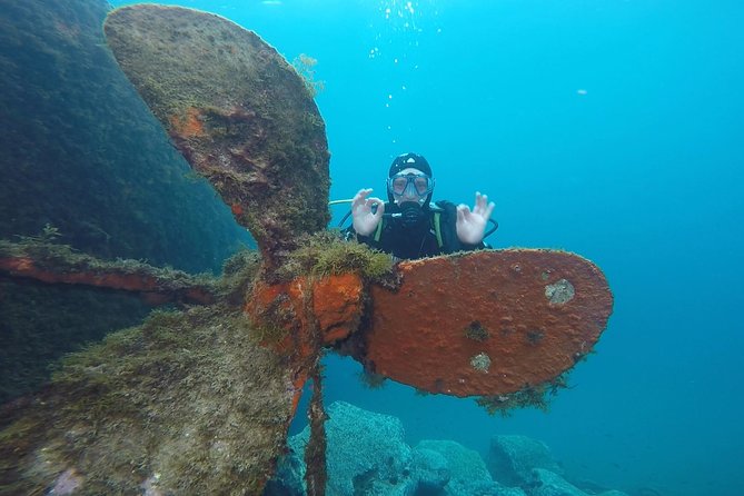 Underwater Archaeology Course - Two underwater sessions put the lesson into practice