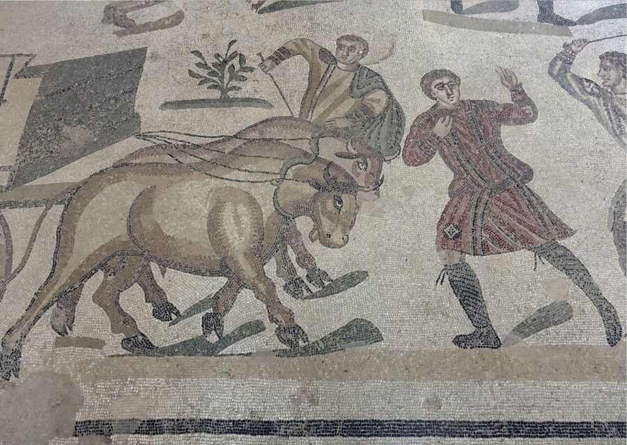 Valley of the Temples and Villa Romana Multi-Language Tour - Why this day makes sense from Palermo