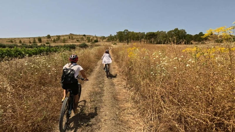 Valley Of The Temples By E-Bike With Picnic Included - Guide style and group size