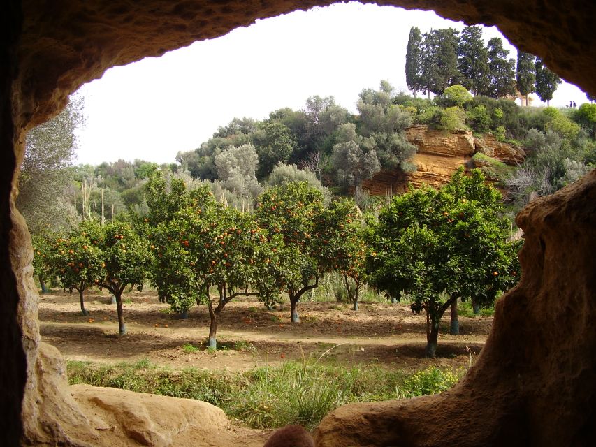 Valley of the Temples: Kolymbethra Garden Entry Ticket - Key points at a glance