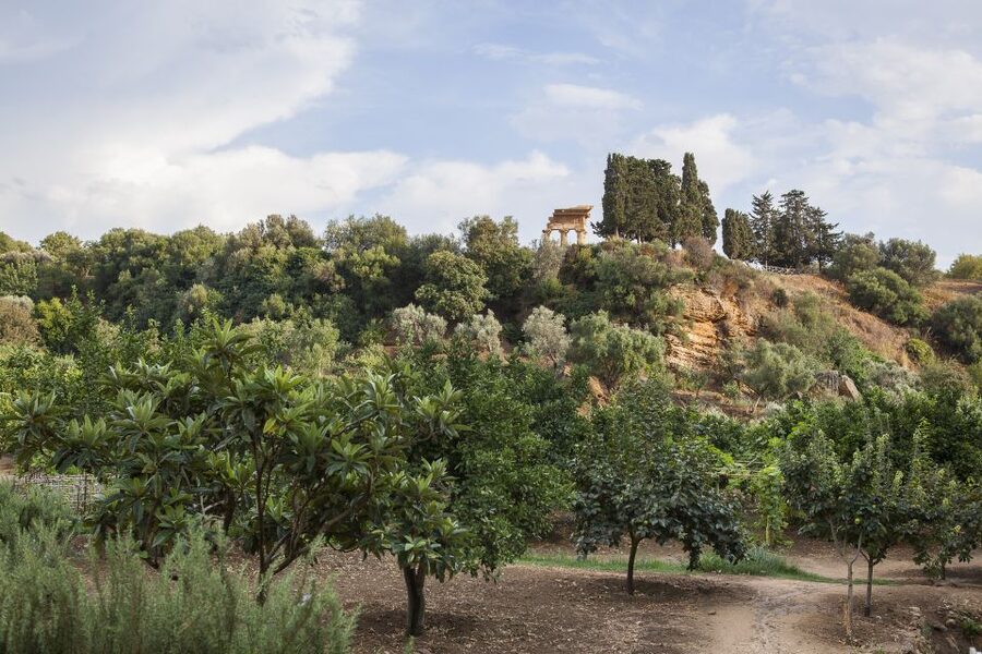 Valley of the Temples: Kolymbethra Garden Entry Ticket - Why Kolymbethra Garden changes the Valley of the Temples