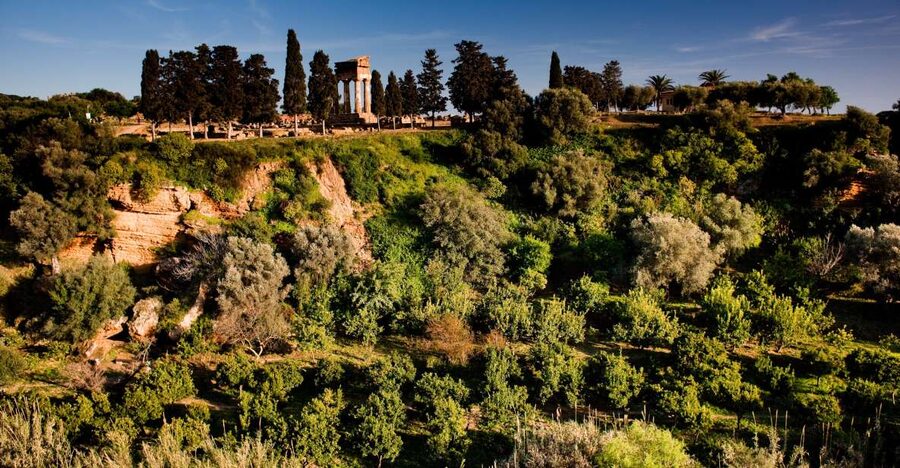 Valley of the Temples: Kolymbethra Garden Entry Ticket - The café, picnic, and small practical comforts