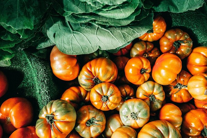 Vegan Cooking Class in Catania with Lunch and Dinner - Is $119.72 a fair price?