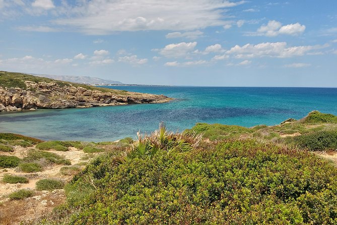 Vendicari Nature Reserve Tour - Birdwatching Points and the Coastal Marshes