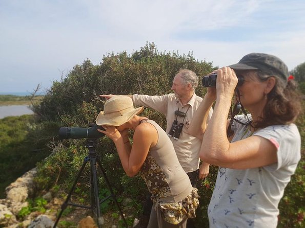 Vendicari - Sicily's best coast nature reserve ( Birdwatching & Archeology ) - Roman mosaics in a coastal villa