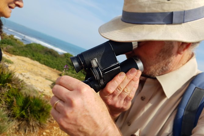 Vendicari - Sicily's best coast nature reserve ( Birdwatching & Archeology ) - What the $218.33 price means