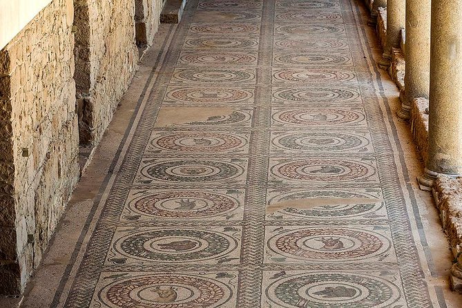 Villa Romana Del Casale in Piazza Armerina and Valley Of Temples in Agrigento - What your driver does, and what the driver does not do