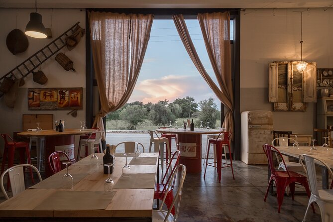 Visit to the olive grove, oil tasting and lunch at the farm - Key points to know before booking