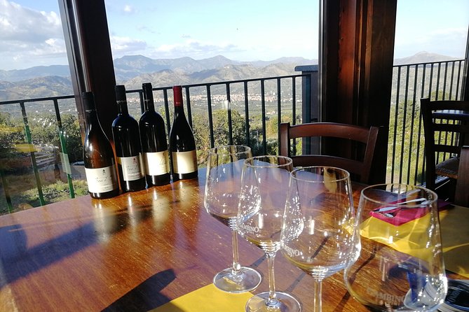 Wine Tasting Tour from Taormina - From Taormina to Etna’s wine country