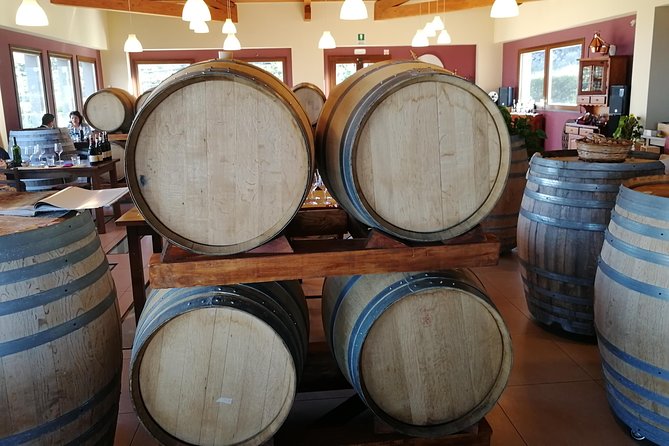 Wine Tasting Tour from Taormina - Timing, comfort, and group size